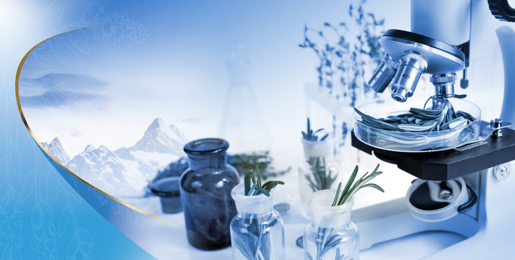 Vitamine für das nervensystem