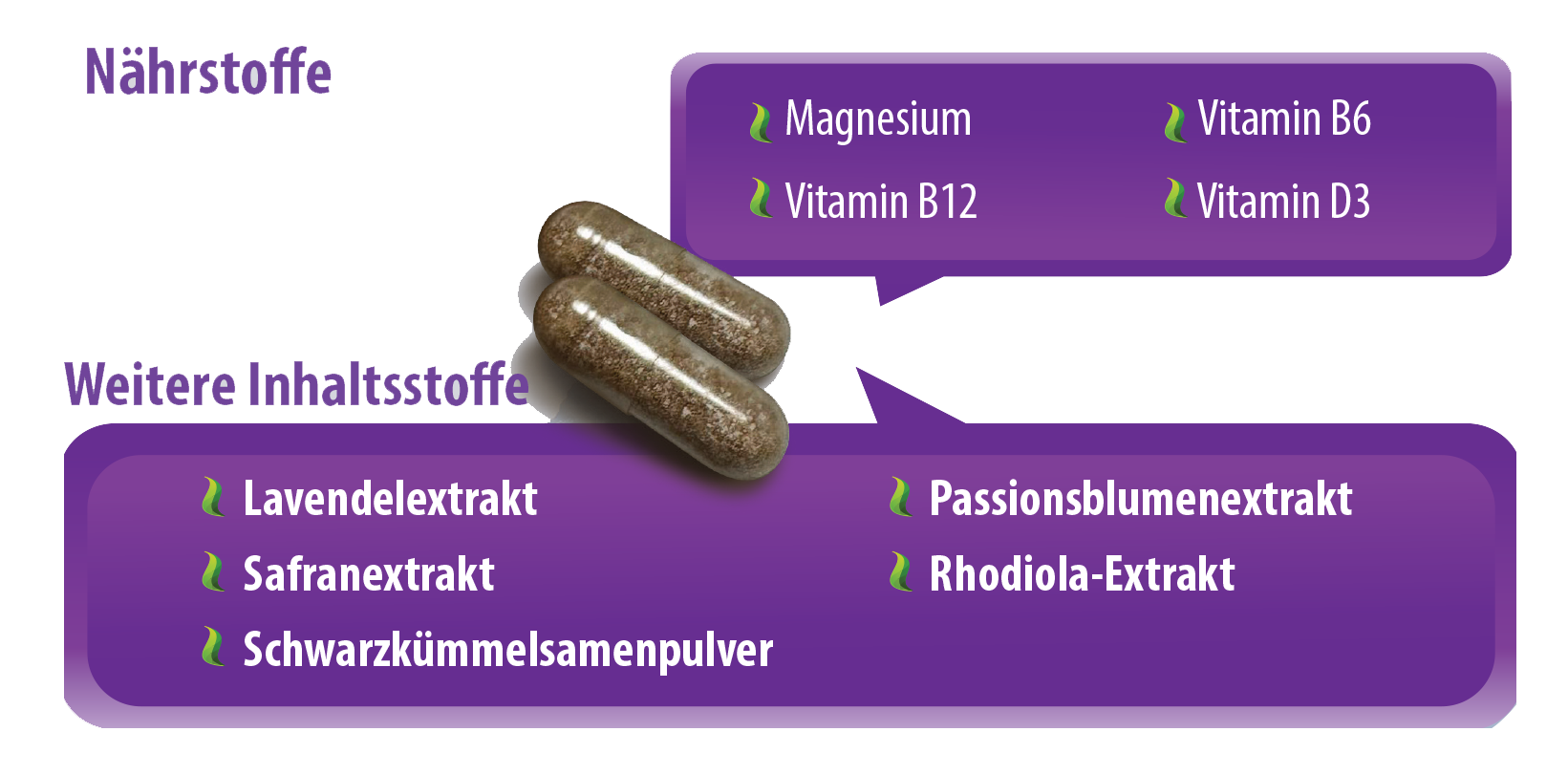 Brochure Deutsch