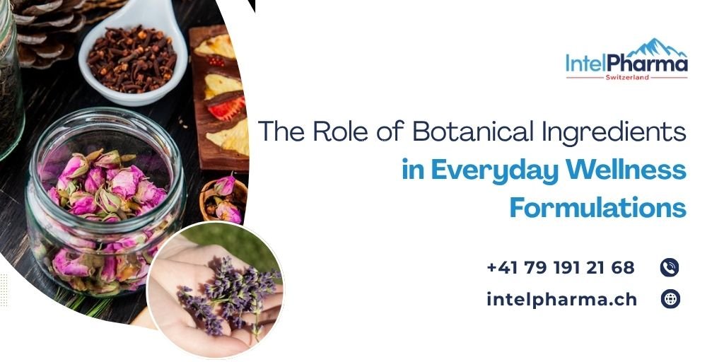 Botanical ingredients for everyday wellness formulations including herbs and dried flowers